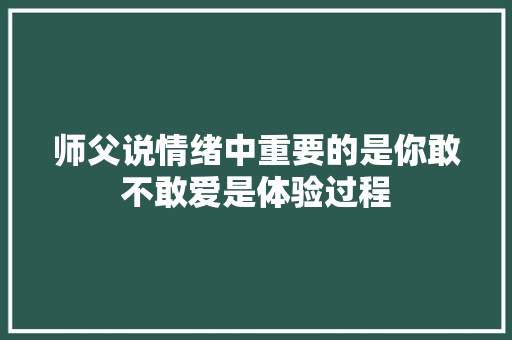师父说情绪中重要的是你敢不敢爱是体验过程