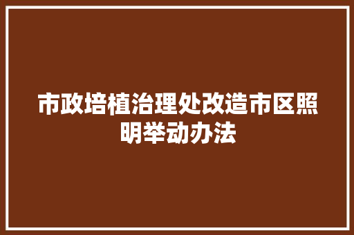 市政培植治理处改造市区照明举动办法
