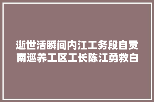 逝世活瞬间内江工务段自贡南巡养工区工长陈江勇救白叟侧记