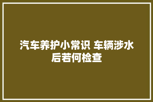 汽车养护小常识 车辆涉水后若何检查