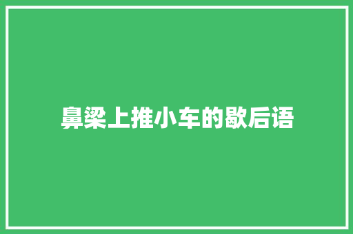 鼻梁上推小车的歇后语