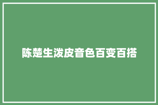 陈楚生泼皮音色百变百搭