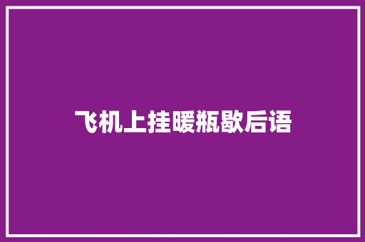 飞机上挂暖瓶歇后语