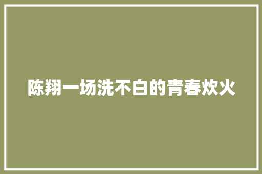 陈翔一场洗不白的青春炊火