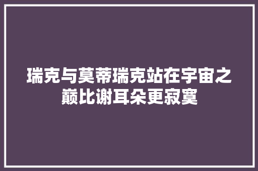 瑞克与莫蒂瑞克站在宇宙之巅比谢耳朵更寂寞