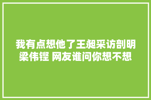我有点想他了王昶采访剖明梁伟铿 网友谁问你想不想他了