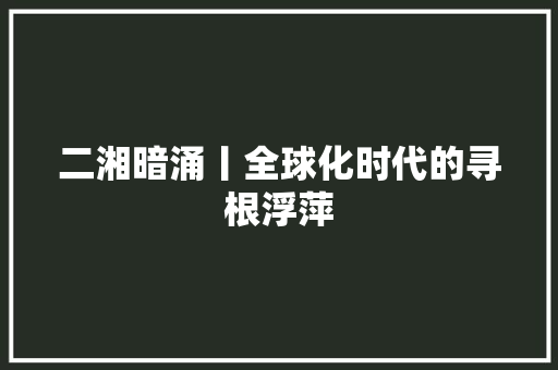 二湘暗涌丨全球化时代的寻根浮萍
