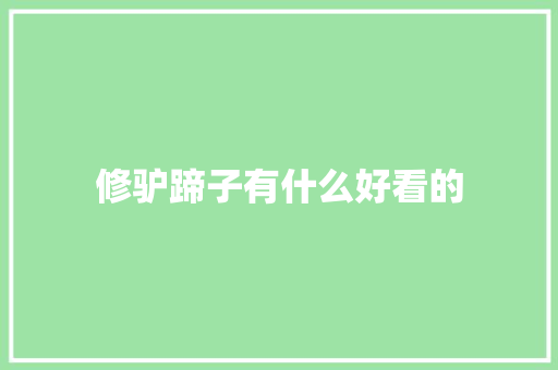 修驴蹄子有什么好看的
