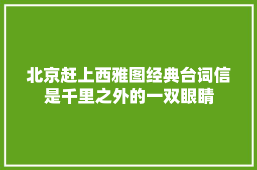 北京赶上西雅图经典台词信是千里之外的一双眼睛