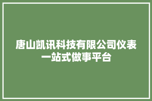 唐山凯讯科技有限公司仪表一站式做事平台