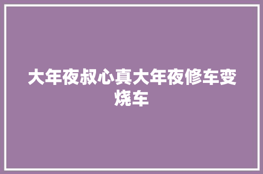 大年夜叔心真大年夜修车变烧车