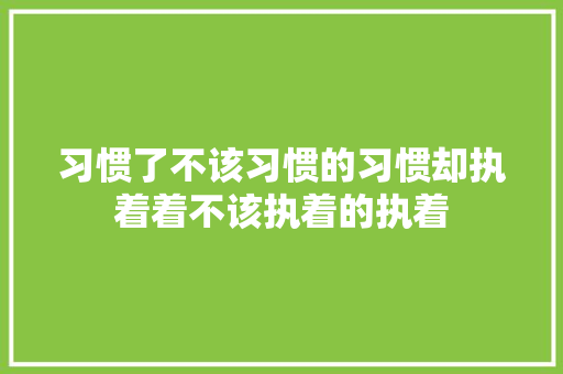习惯了不该习惯的习惯却执着着不该执着的执着