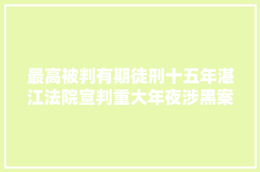 最高被判有期徒刑十五年湛江法院宣判重大年夜涉黑案