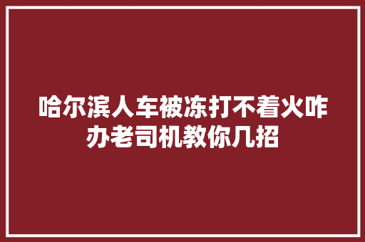 哈尔滨人车被冻打不着火咋办老司机教你几招 汽车知识