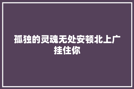 孤独的灵魂无处安顿北上广挂住你