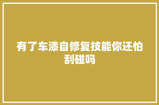 有了车漆自修复技能你还怕刮碰吗