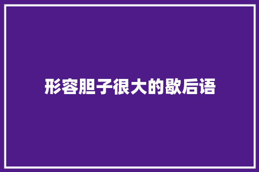 形容胆子很大的歇后语