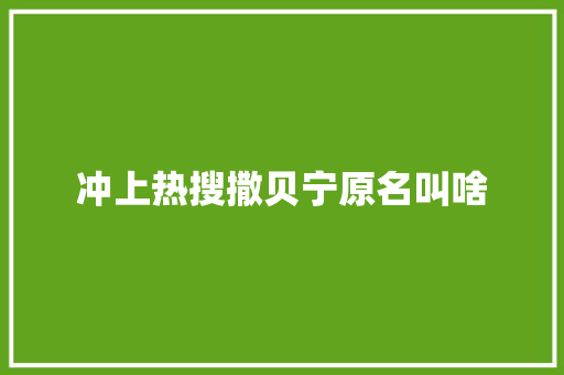 冲上热搜撒贝宁原名叫啥