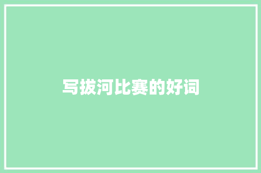 写拔河比赛的好词