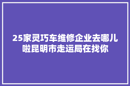 25家灵巧车维修企业去哪儿啦昆明市走运局在找你