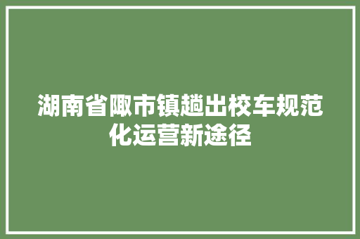 湖南省陬市镇趟出校车规范化运营新途径