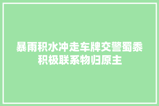 暴雨积水冲走车牌交警蜀黍积极联系物归原主
