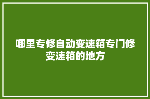 哪里专修自动变速箱专门修变速箱的地方