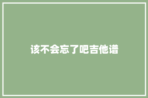 该不会忘了吧吉他谱