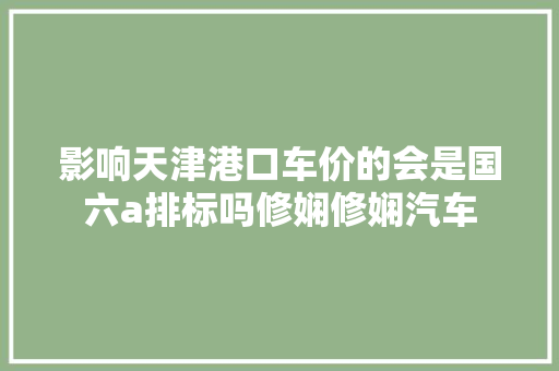 影响天津港口车价的会是国六a排标吗修娴修娴汽车