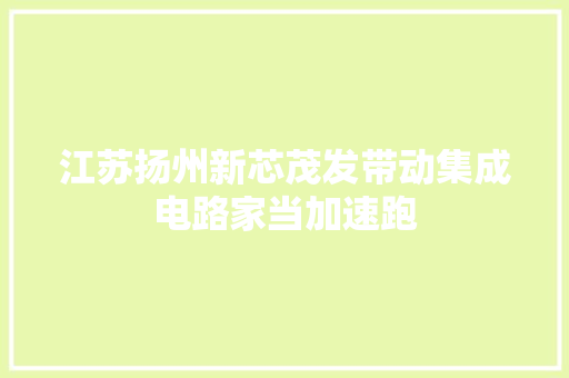 江苏扬州新芯茂发带动集成电路家当加速跑