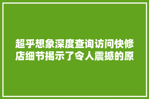 超乎想象深度查询访问快修店细节揭示了令人震撼的原形
