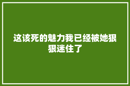 这该死的魅力我已经被她狠狠迷住了