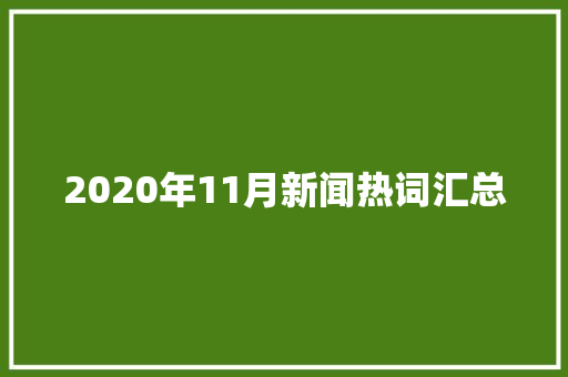 2020年11月新闻热词汇总