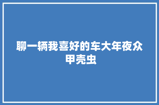 聊一辆我喜好的车大年夜众 甲壳虫