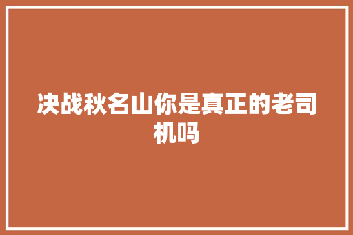 决战秋名山你是真正的老司机吗 汽车知识