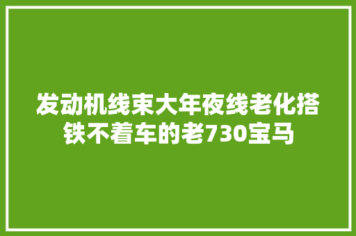 发动机线束大年夜线老化搭铁不着车的老730宝马