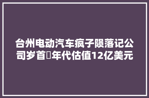 台州电动汽车疯子陨落记公司岁首年代估值12亿美元现在负债18亿元被强制拍卖