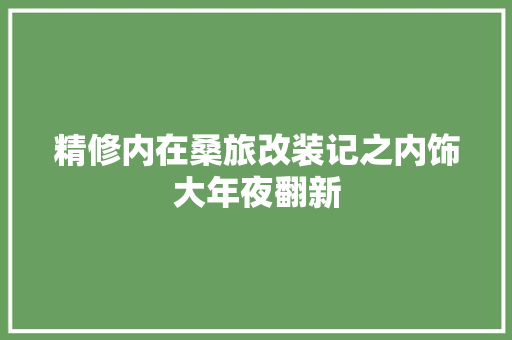 精修内在桑旅改装记之内饰大年夜翻新