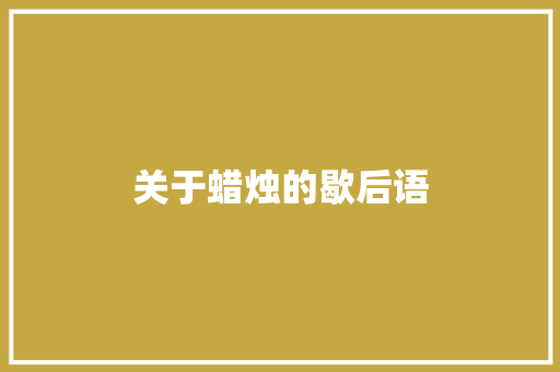 关于蜡烛的歇后语