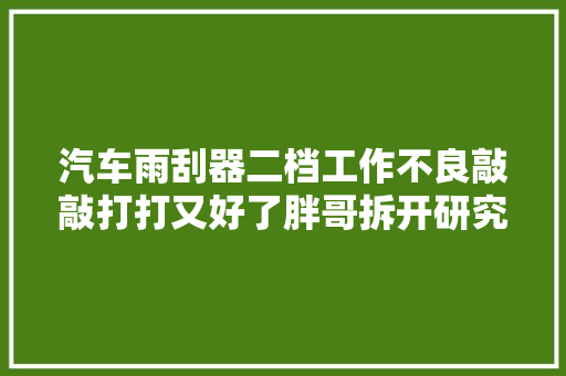 汽车雨刮器二档工作不良敲敲打打又好了胖哥拆开研究一下