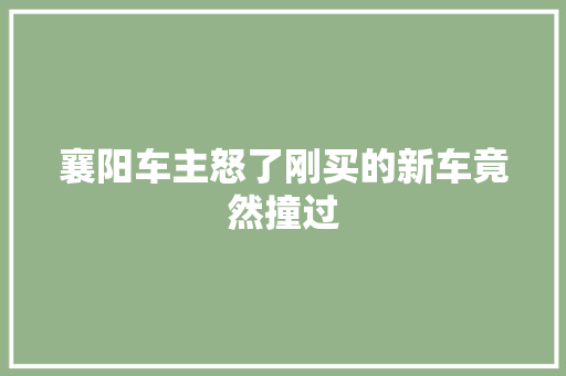 襄阳车主怒了刚买的新车竟然撞过