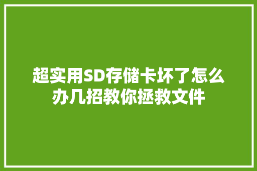 超实用SD存储卡坏了怎么办几招教你拯救文件
