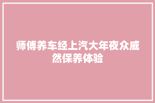师傅养车经上汽大年夜众威然保养体验