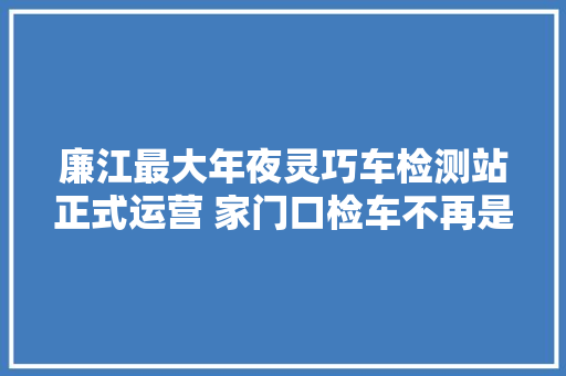 廉江最大年夜灵巧车检测站正式运营 家门口检车不再是梦