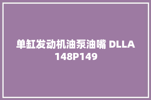 单缸发动机油泵油嘴 DLLA148P149