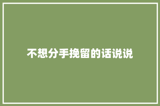 不想分手挽留的话说说