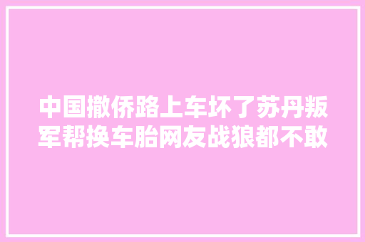中国撤侨路上车坏了苏丹叛军帮换车胎网友战狼都不敢这么拍