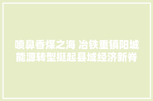 喷鼻香煤之海 冶铁重镇阳城能源转型挺起县域经济新脊梁