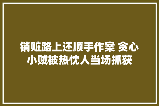 销赃路上还顺手作案 贪心小贼被热忱人当场抓获