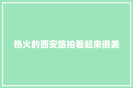 热火的西安旅拍看起来很美